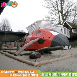Beetle large outdoor amusement equipment_letu non-standard amusement
